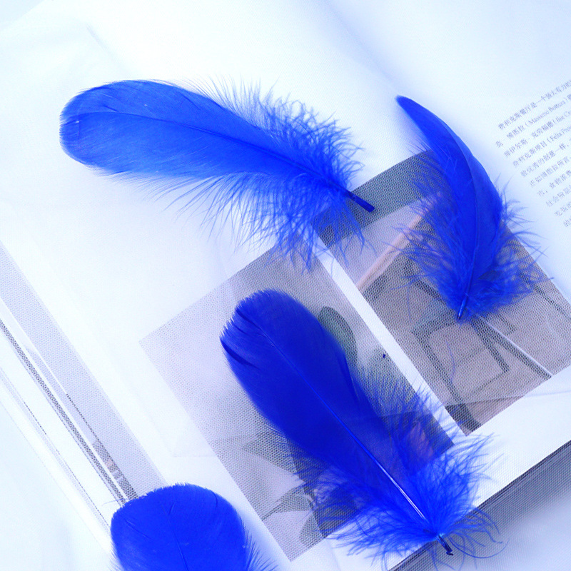 Picture of Macaron color feather decoration goose feather large and medium floating dream catcher gift box filled bouquet diy handmade material