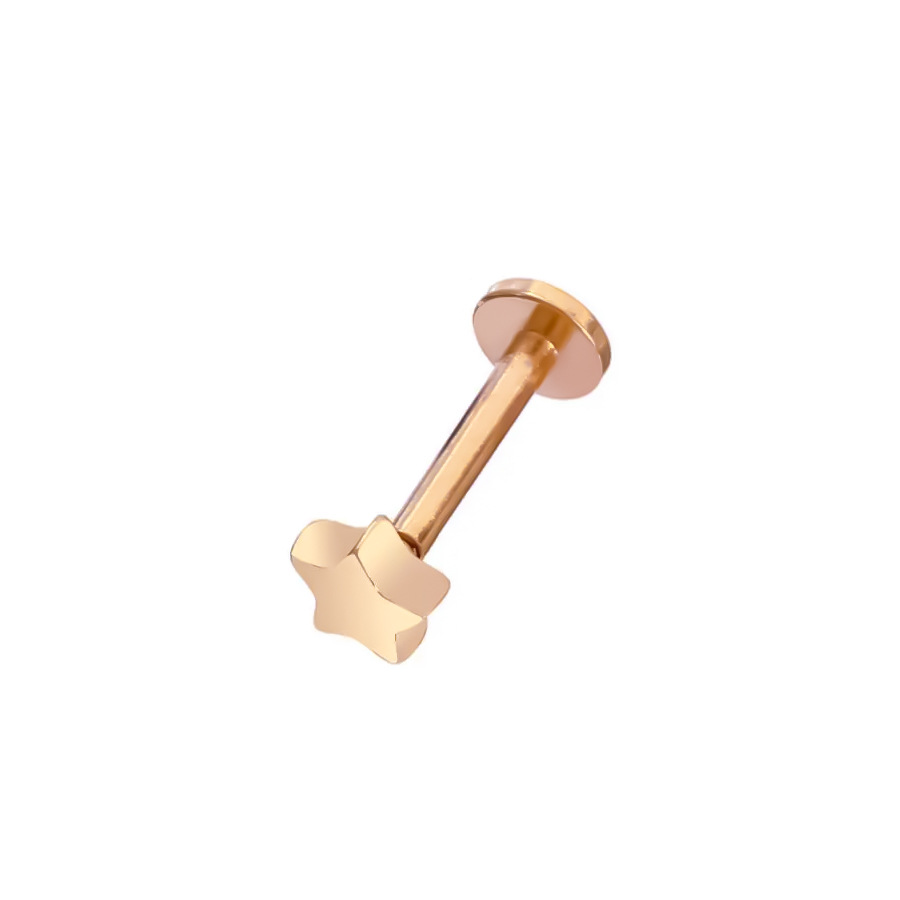 Picture of 2024 new 100% 316L stainless steel hollow moon star geometric figure lip nail ear bone nail 18K gold plated