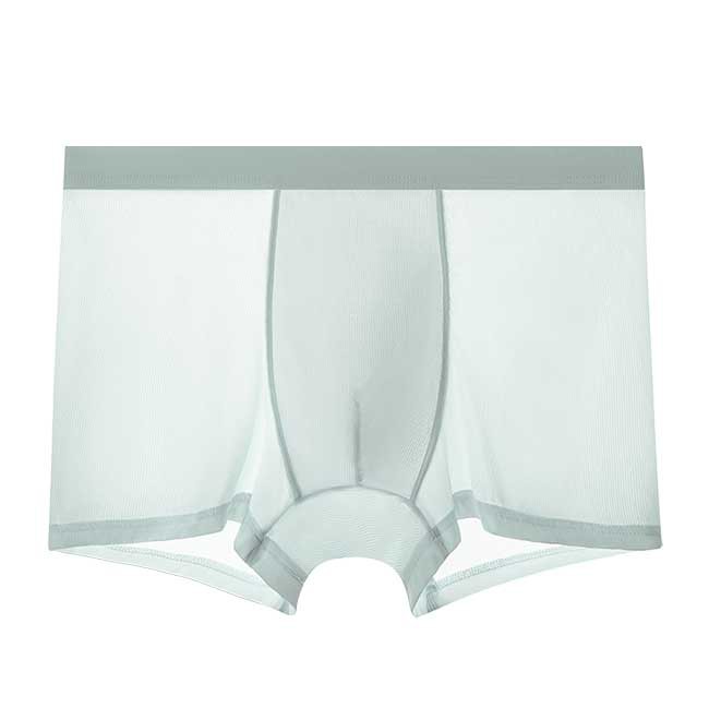 Picture of Men's Underwear 2025 New Ice Silk Boxer Briefs Summer Thin Fully Transparent Large Size Boys' Boxer Briefs