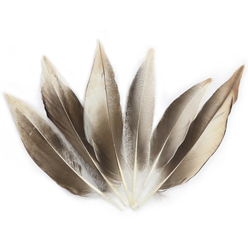 Picture of natural wild duck black pointed wild bird feather wild duck feather diy corrugated clothing accessories small feather