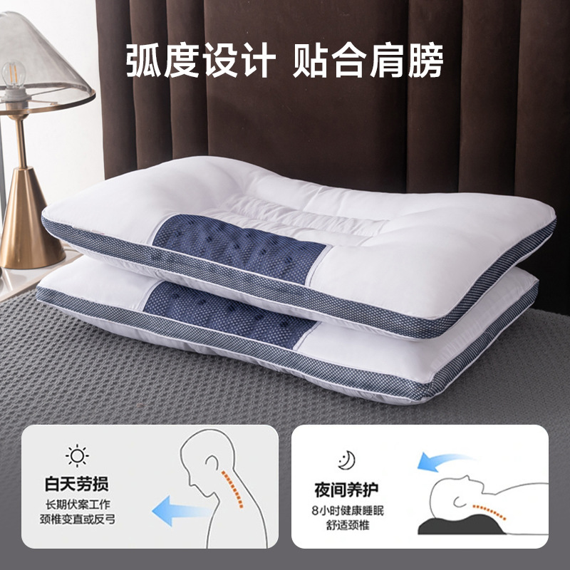 Health Gift Rectangular Cassia Seed Health Pillow Hotel Feather Silk Pillow Student Dormitory Pillow Core Herbal