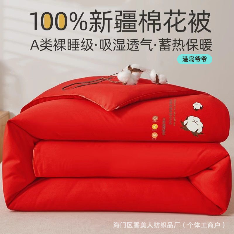 Picture of Xinjiang quilt cotton wool cotton wool cotton spring and autumn single mattress thickened student quilt cotton warm quilt core wholesale