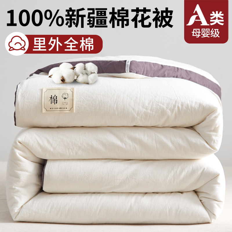 Cotton Xinjiang Cotton Quilt Cotton 100 Quilt Winter Quilt Winter Thickened Warm Quilt Core Cotton Cushion Spring and Autumn Quilt