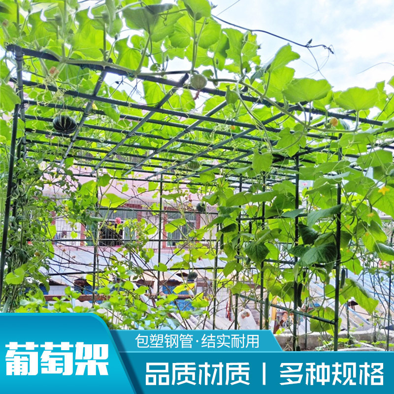 Outdoor Courtyard Grape Rack Assembly Bracket Passion Fruit Bitter Melon Climbing Frame Iron Pergola Balcony Plant Climbing Frame