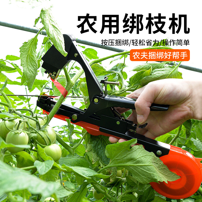 Grape Tying Branch Card Bean Rack Binding Machine Tomato Cucumber Tying Machine Bang Branch Agricultural Tying Machine Automatic
