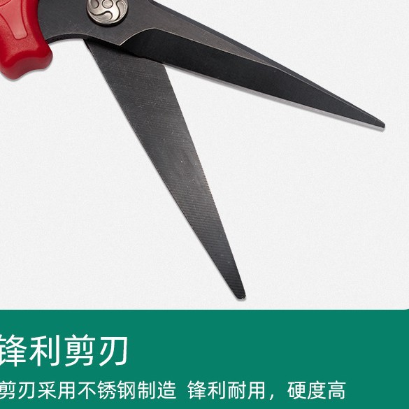 Manufacturer in-stock stainless steel pruning shears, garden pruning shears, fruit picking shears, wholesale gardening tools