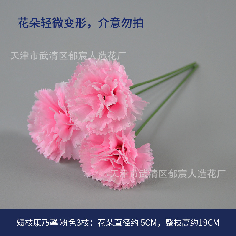 Picture of Carnation Single Branch Simulation Flower Mother's Day Flower Basket Flower Arrangement Shopping Mall Holiday Atmosphere Modeling Layout