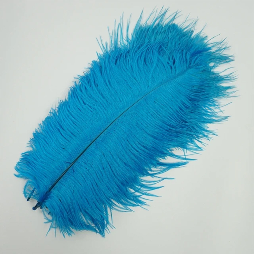 Picture of 10-15cm ostrich hair source factory bouquet wedding decoration feather wall handmade DIY crafts stage clothing