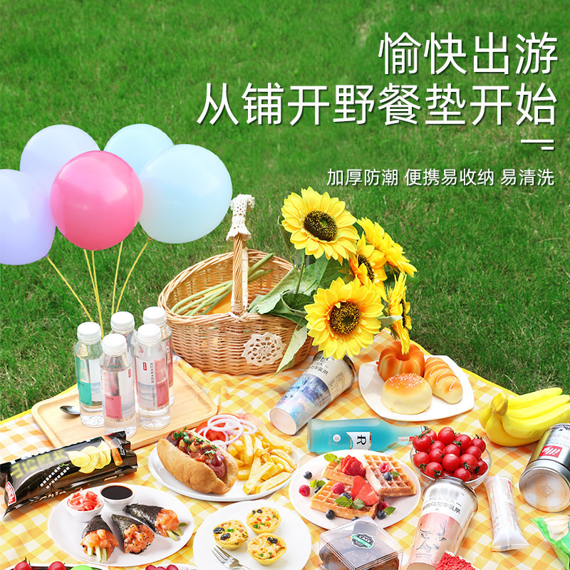 Outdoor picnic mat park outing portable waterproof thickened picnic mat non-woven spring outing tent moisture-proof mat