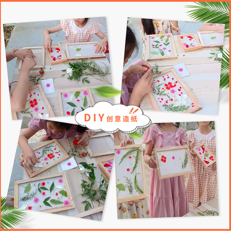 Picture of Paper Pulp Traditional Papermaking Virgin Wood Pulp Long-Staple Fiber Handmade Flowers and Plants Children's DIY Materials Biodegradable
