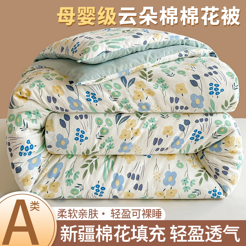 Picture of Xinjiang cotton quilt core thickened warm winter quilt cartoon small fresh student dormitory bedding spring and autumn quilt wholesale