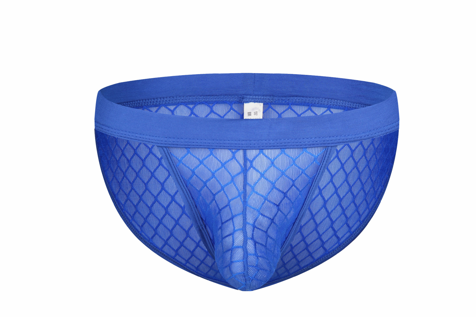 Picture of Cat Will Amazon Cross-Border Foreign Trade New Men's Sexy Mesh U-Convex Pouch High-Cut Briefs