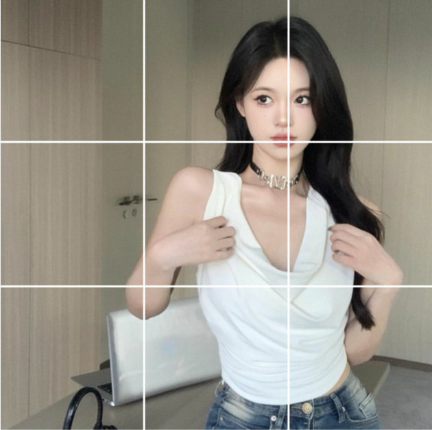 Picture of Vest Women's French Style Elegant Sexy Swing Collar Summer New Slim-fit Short Top 5173 I-shaped Swing Collar Vest