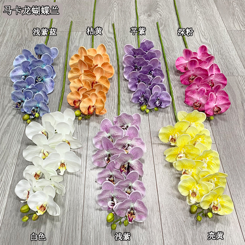 Picture of New hand-feeling film phalaenopsis 9-head big orchid macaron phalaenopsis multi-color beautiful bright drape