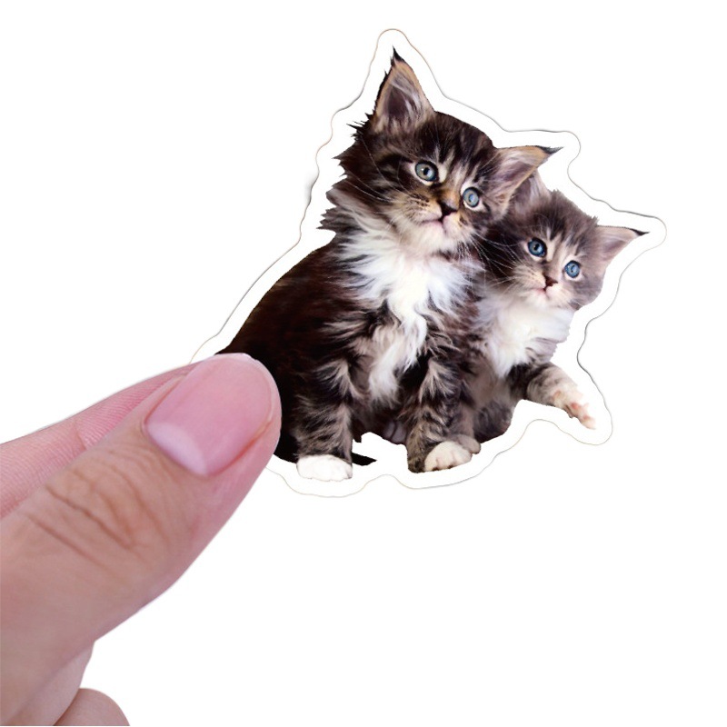 100 cute cat cartoon graffiti stickers personalized decoration motorcycle luggage diy waterproof stickers wholesale