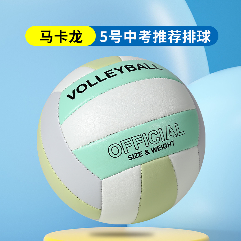 Picture of Volleyball High School Entrance Examination Students' Special Competition Training Children's Primary School Students' Male and Female No. 5 No. 4 Junior High School Students Standard Air Volleyball