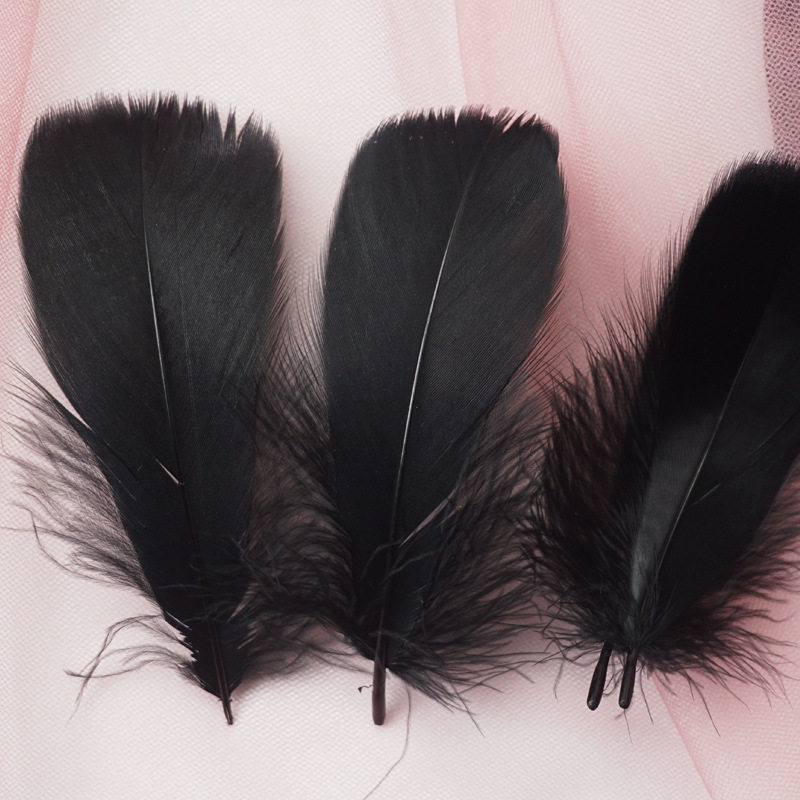 Picture of Color feather DIY floating dyeing goose feather dream catcher wave ball gift box filling decorative materials wholesale