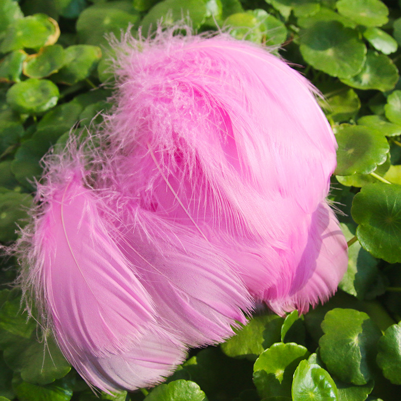 Picture of diy handmade color floating feather goose feather dream catcher wave ball gift box filling decoration materials
