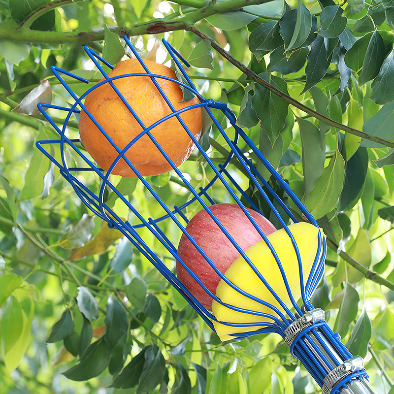 Picture of Cross-border garden fruit picker tool fruit picker fruit long pole picking apple plum high altitude picking fruit picking