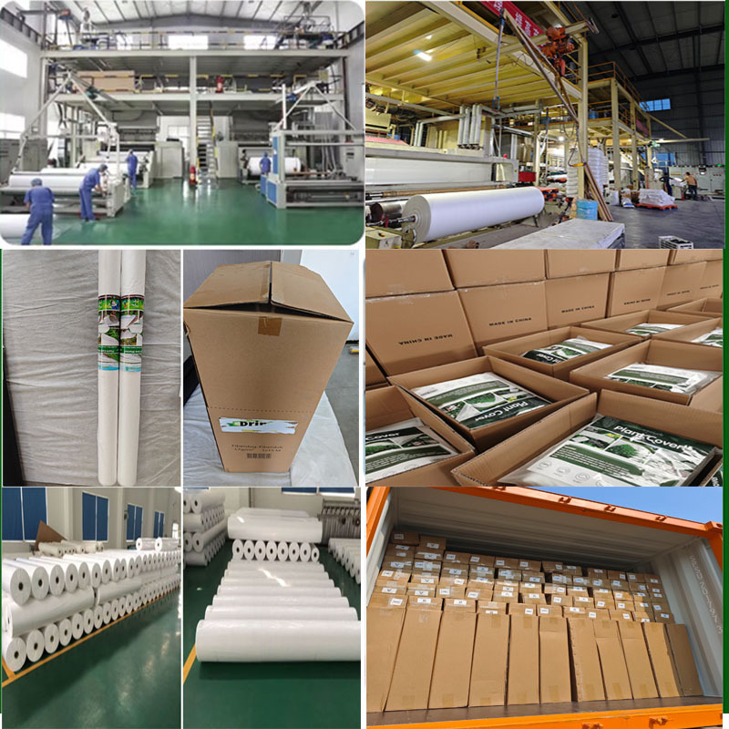 Picture of Cross-Border Supply of Pp White Agricultural Cold-Proof Non-Woven Fabric Insulation, Moisture Permeability, Anti-Aging, Ultra-Wide Splicing Covering Cloth