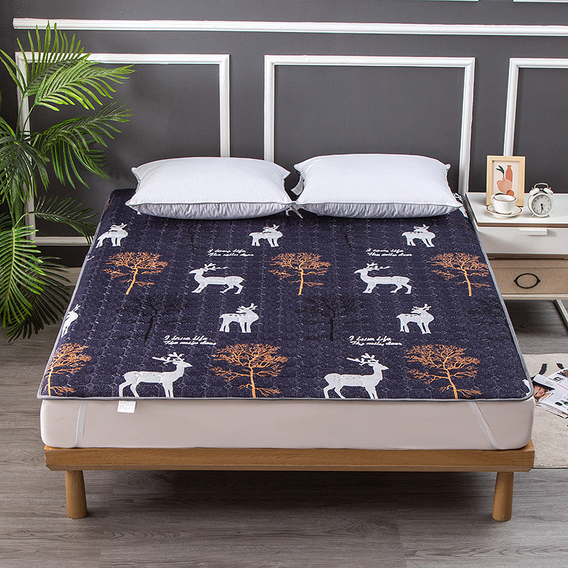 Picture of B&B Hotel Mattress Bed Protector Special Thin Washable Foldableing Single and Double Rental House Mattress Factory
