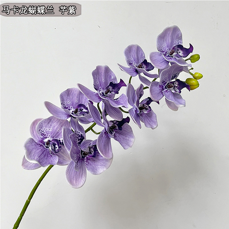 Picture of New hand-feeling film phalaenopsis 9-head big orchid macaron phalaenopsis multi-color beautiful bright drape