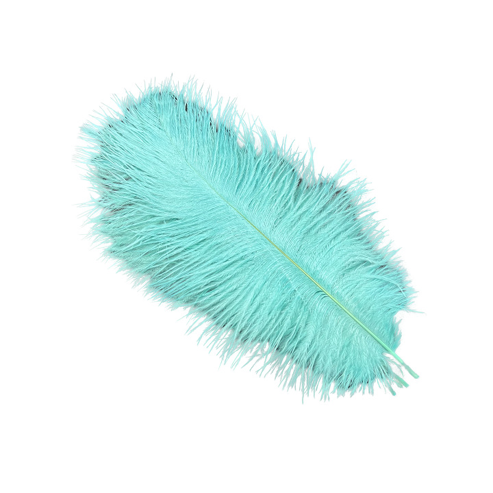 Picture of White ostrich feather 25-30cm natural ostrich feather dyed feather wedding decoration lamp ornament feather