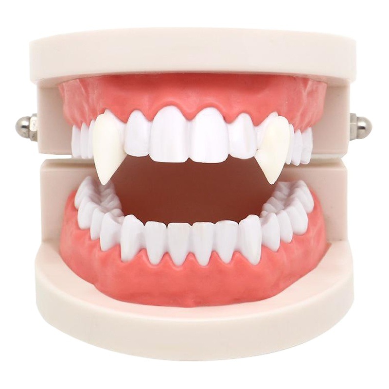Halloween vampire false teeth zombie false teeth pointed braces small tiger teeth braces cosplay makeup props
