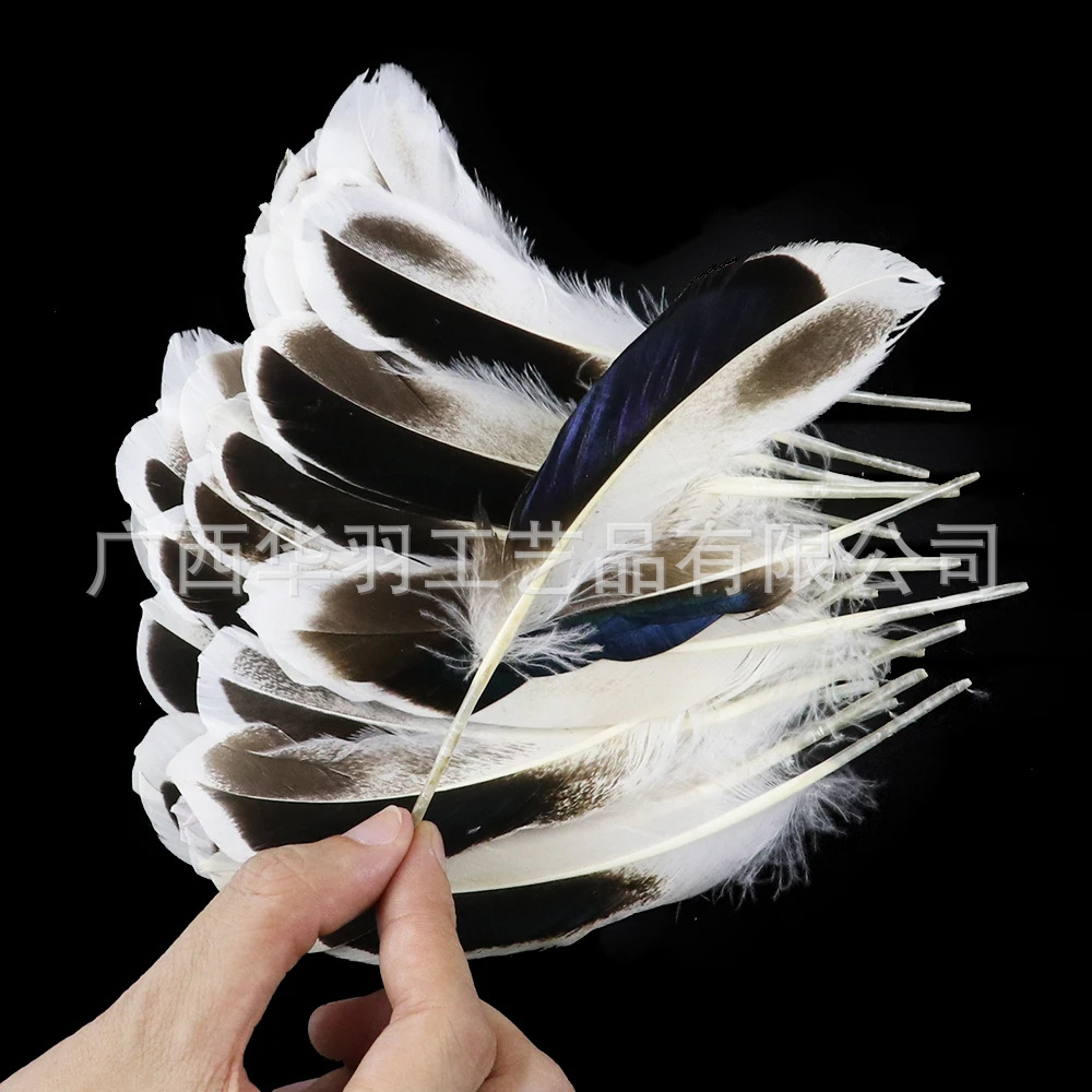 Picture of DIY Feathers, Natural Duck Feathers, Duck Feathers for Jewelry, Indian Headdress, Handmade Craft Decoration Materials, Creative and Natural