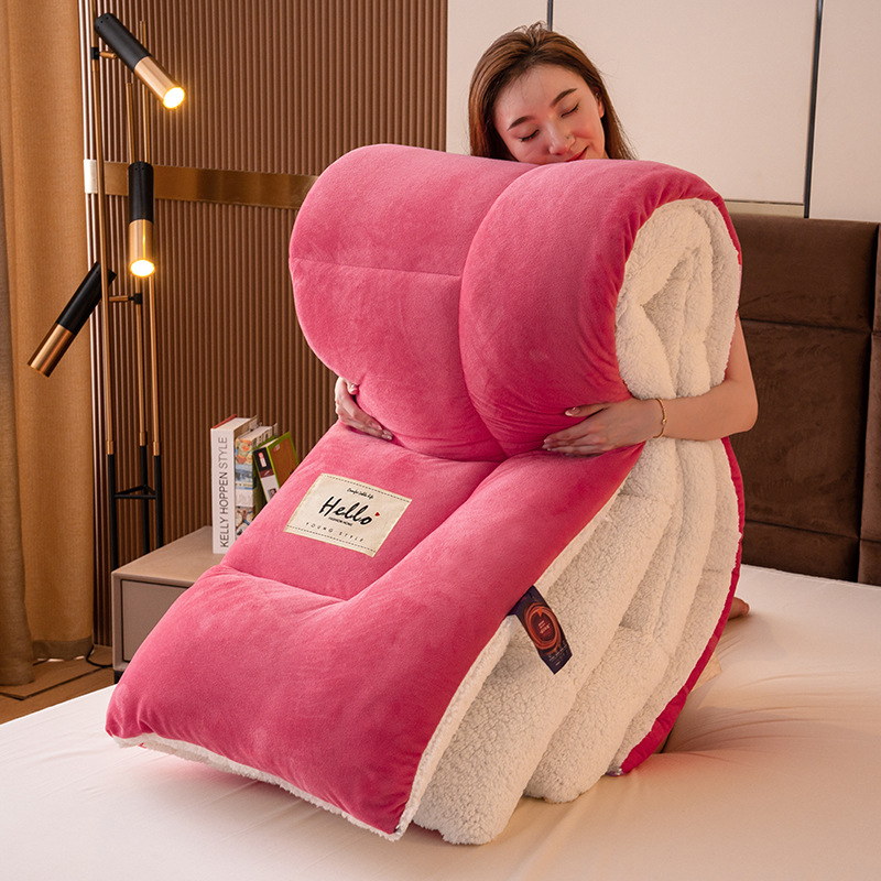 Cross-border lamb velvet quilt milk velvet core live distribution double-sided thickened velvet quilt student dormitory bedding