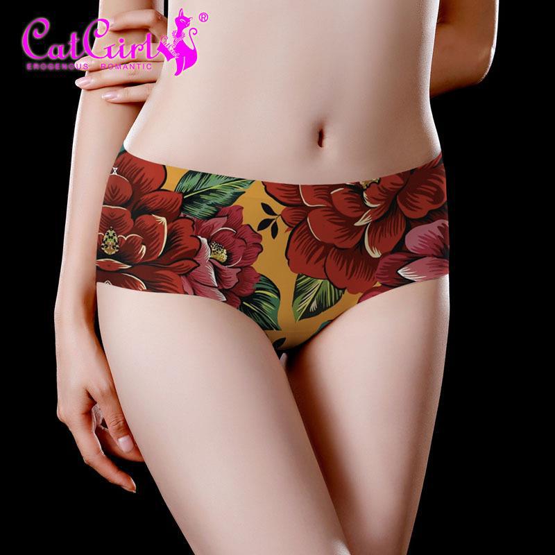 catgirl sexy beauty seamless underwear waist ladies one-piece briefs printed underwear manufacturers source