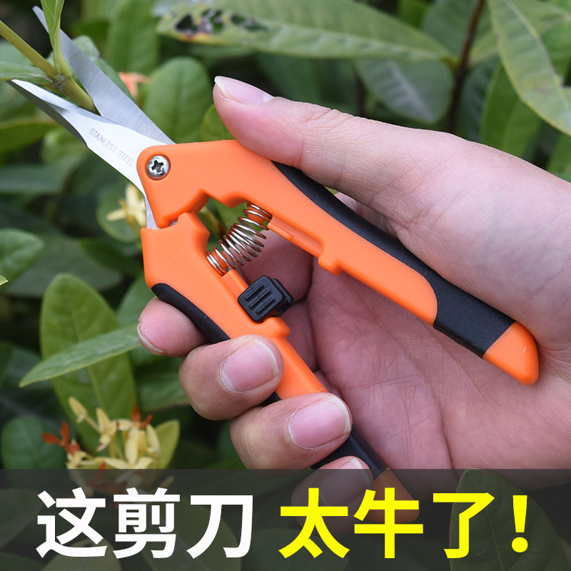 Household Scissors, Branch Scissors, Handmade Small Flower Branch Scissors, Fruit Tree Pruning Scissors, Gardening Labor-Saving Flower Pruning Scissors, Household Scissors