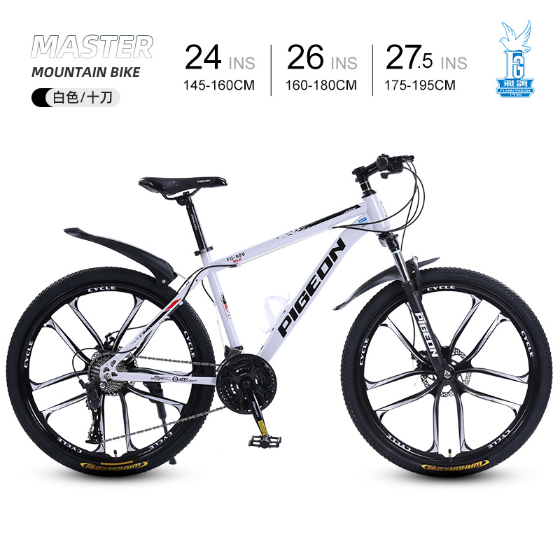 Picture of Flying Pigeon Bike Men's Cross-country Variable Speed Mountain Bike 24 Inch Outdoor Sports Cycling Road Bike
