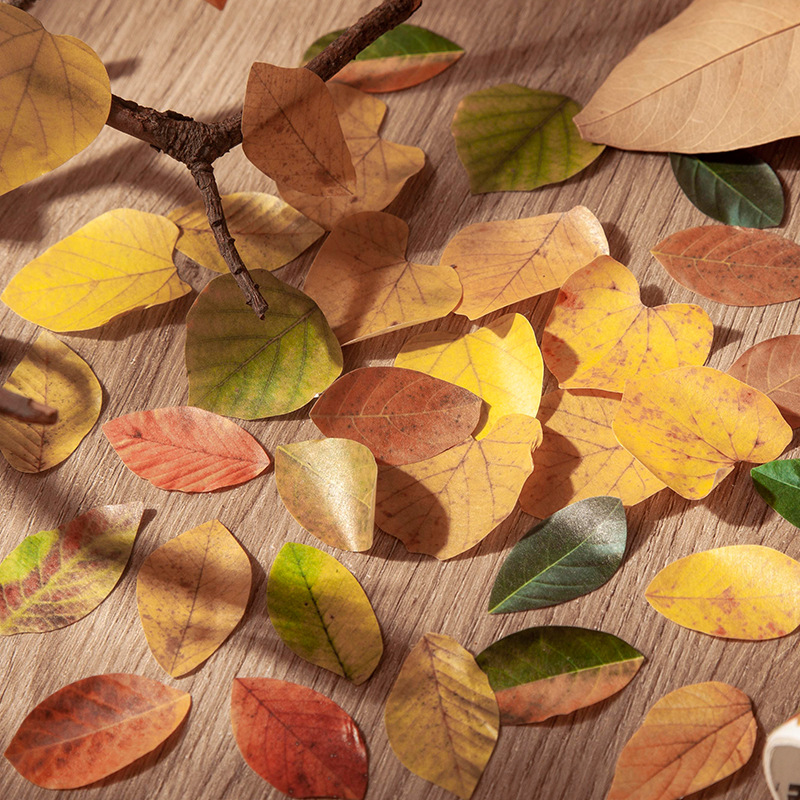 Picture of A Beautiful Day Tape Champs Elysees Leaves Series Creative Plant Hand Account DIY Decorative Stickers 8