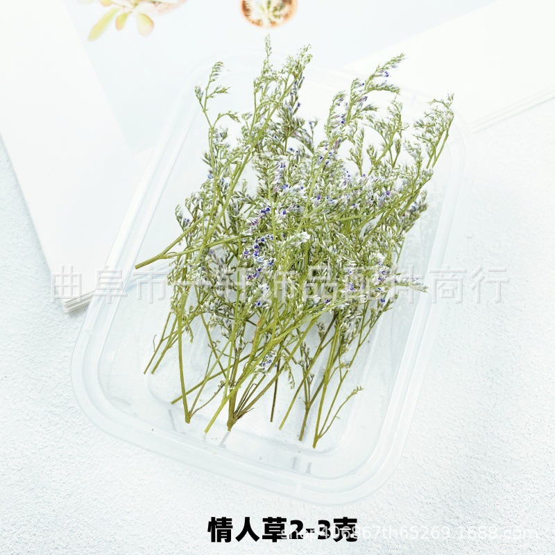Picture of Dried Flower DIY Material Boxed Real Flower Air-Dried Forget-Me-Not Rose Lover Grass Gypsophila Decorative Flower Material Handmade