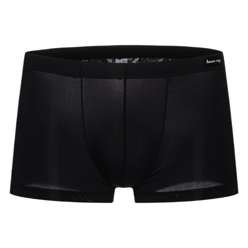 Haores Foreign Trade Amazon Best-Selling Silky, Comfortable, Sexy and Transparent Low-Waist Men's Ice Silk Boxer Briefs