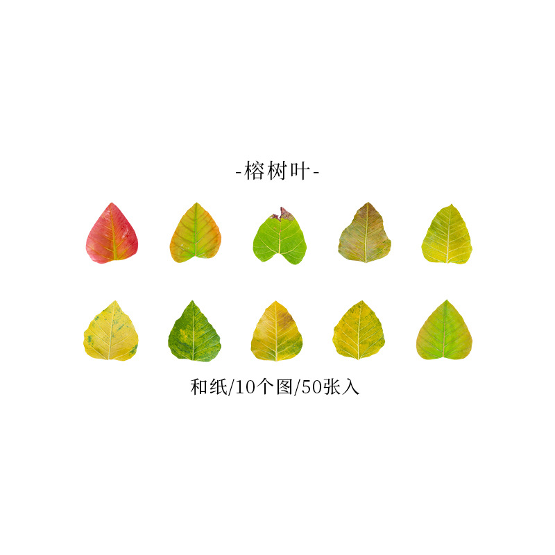 Picture of A Beautiful Day Tape Champs Elysees Leaves Series Creative Plant Hand Account DIY Decorative Stickers 8