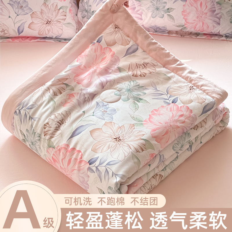 Summer Air-conditioning Quilt Summer Cool Quilt Machine Washable Quilt 2025 New Single Dormitory Spring and Autumn Quilt Core Thin Gift Quilt