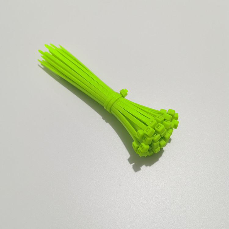 Wholesale Spot Sufficient Silver Nylon Cable Ties Purple Cable Ties Pink Cable Ties Orange 25cm Cable Ties