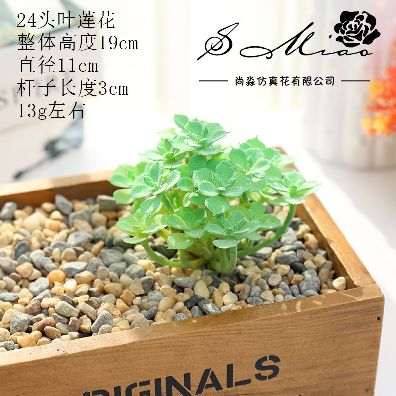 Picture of 003 Flocked Green Succulent Flower Head Creative DIY Supplies Bonsai Accessories Artificial Flower Jinhua Factory Direct Supply