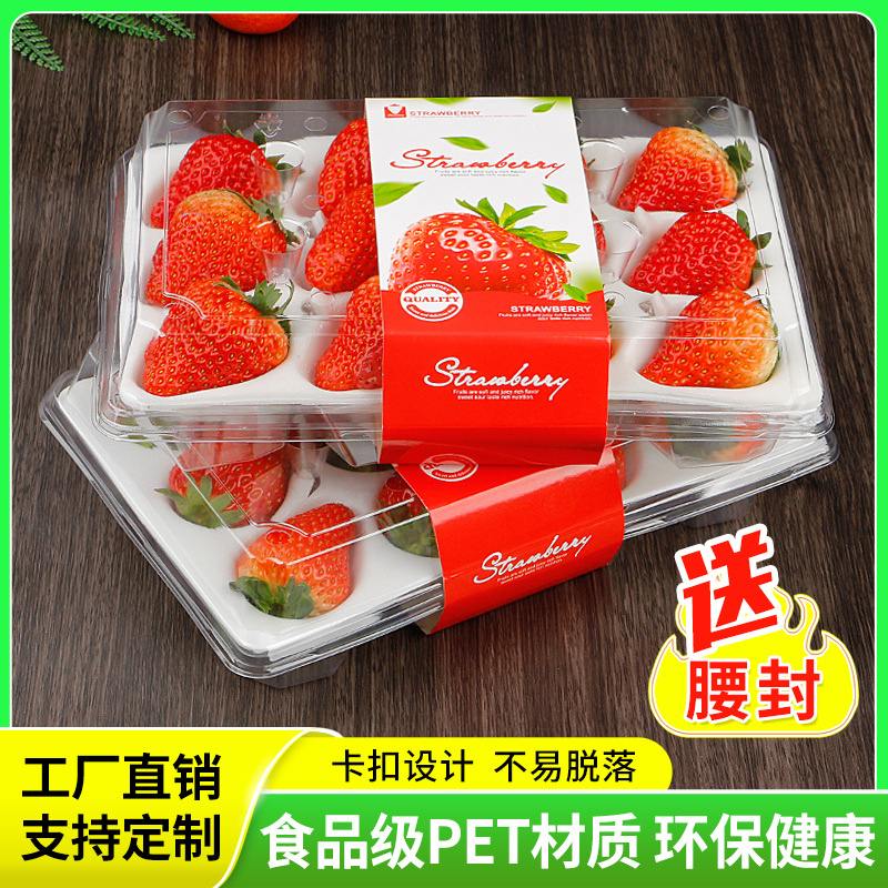 Wholesale strawberry gift box disposable packing box PET high-grade fruit preservation transparent thickened blister packing box