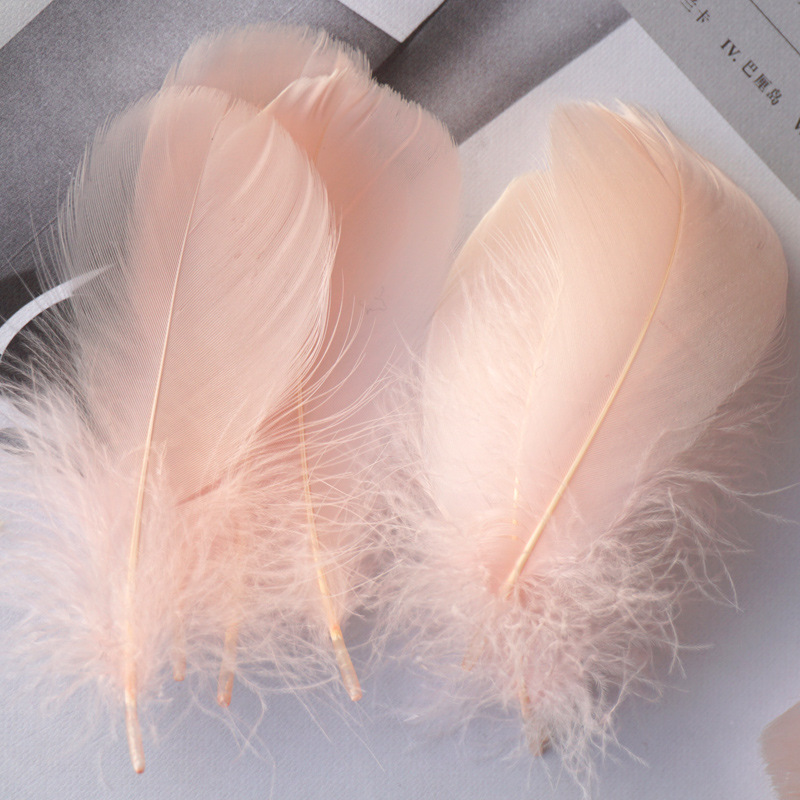 Picture of Color feather DIY floating dyeing goose feather dream catcher wave ball gift box filling decorative materials wholesale