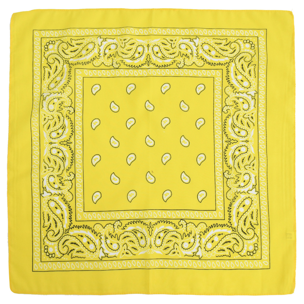 Picture of Factory direct supply in stock polyester square paisley scarf wholesale hip hop hip hop riding cashew flower scarf