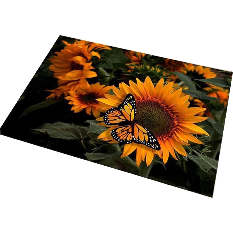 Nordic Entrance Floor Mats, Door Mats, Home Living Room Entrance Carpets, Foyer Entrance Door Mats