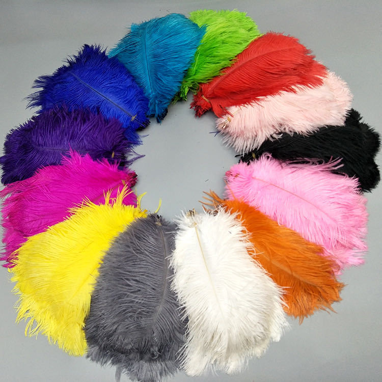 Manufacturer Wholesale Ostrich Feather 15-20cm White Feather DIY Handmade Material Decorative Ostrich Feather Clothing Accessories