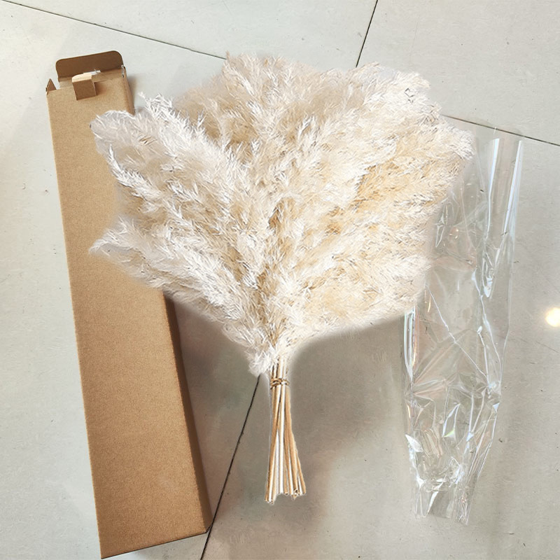 Picture of Cross-border Hot Sale Bohemian Style Decoration Fluffy Pampas Grass Natural Pampas Decorative Dried Flower bouquet