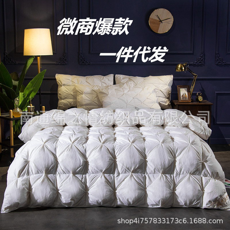 Picture of Cotton Down Velvet Quilt Core Quilt Cotton Twisted Flower Feather Silk Quilt Thickened Warm Winter Quilt Micro Business Generation Hair