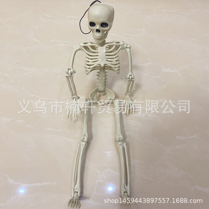 All Saints Carnival 40cm Skull Skeleton Haunted House Bar Decoration Pendant Human Body Plastic Joint Activity Skeleton