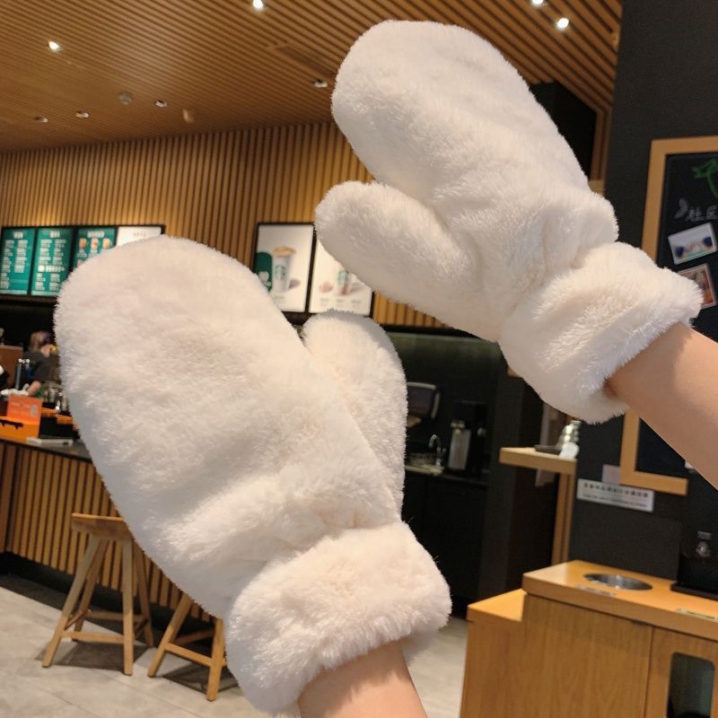Winter Korean Style Solid Color Gloves fleece-lined Thickened Warm Cold-proof Simple Cycling Windproof Gloves Women's Plush Finger Gloves for Women