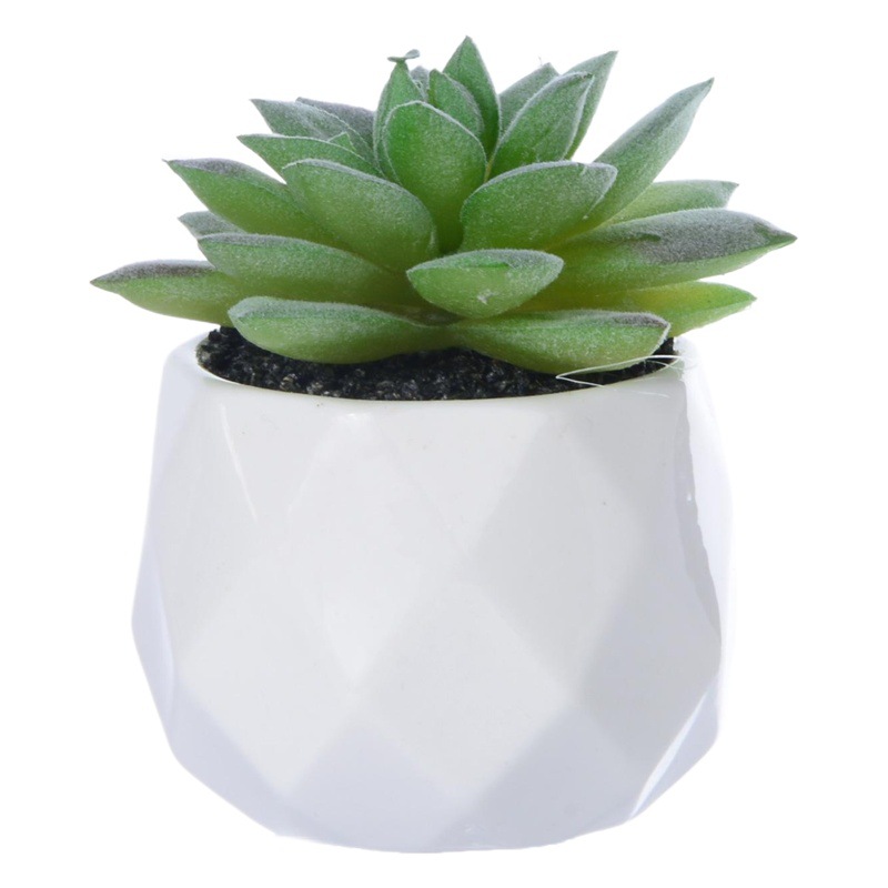 Artificial Succulent Bonsai Creative Small Ornaments Desktop Artificial Flowers Amazon Artificial Flowers Cross-Border Hot-Selling Simulated Potted Plants